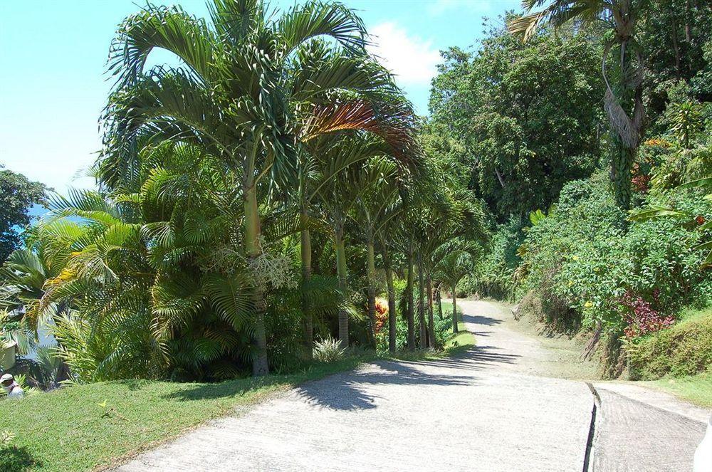 Sailfish Beach Villas Anse a La Mouche Buitenkant foto