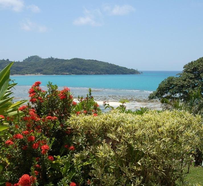 Sailfish Beach Villas Anse a La Mouche Buitenkant foto